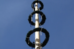 Maibaum16_065